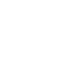 visa icon